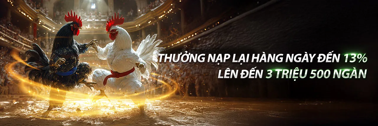 Đá gà trực tiếp Thomo 67 C3